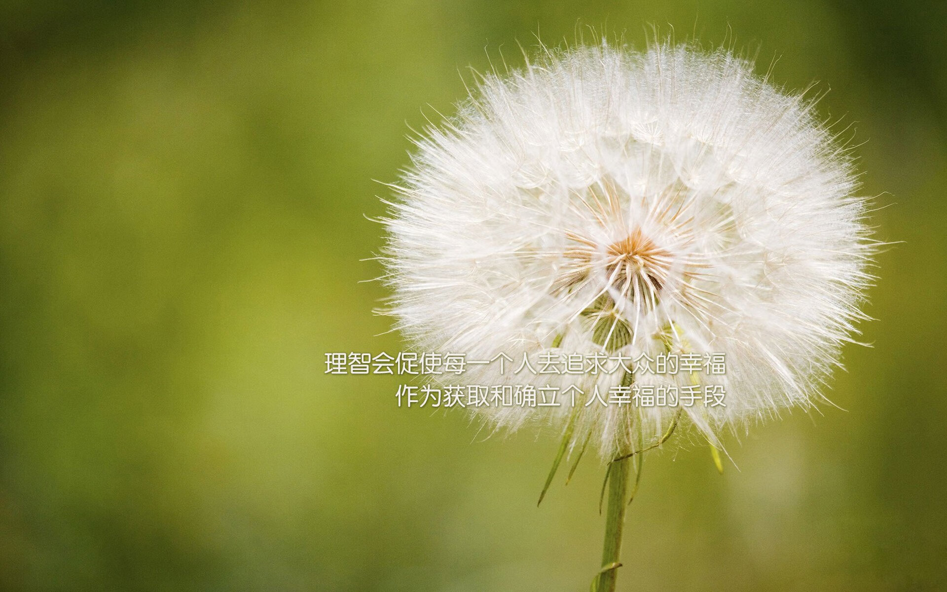 期货铁矿石多少钱一手（国内期货铁矿石一手要多少钱）