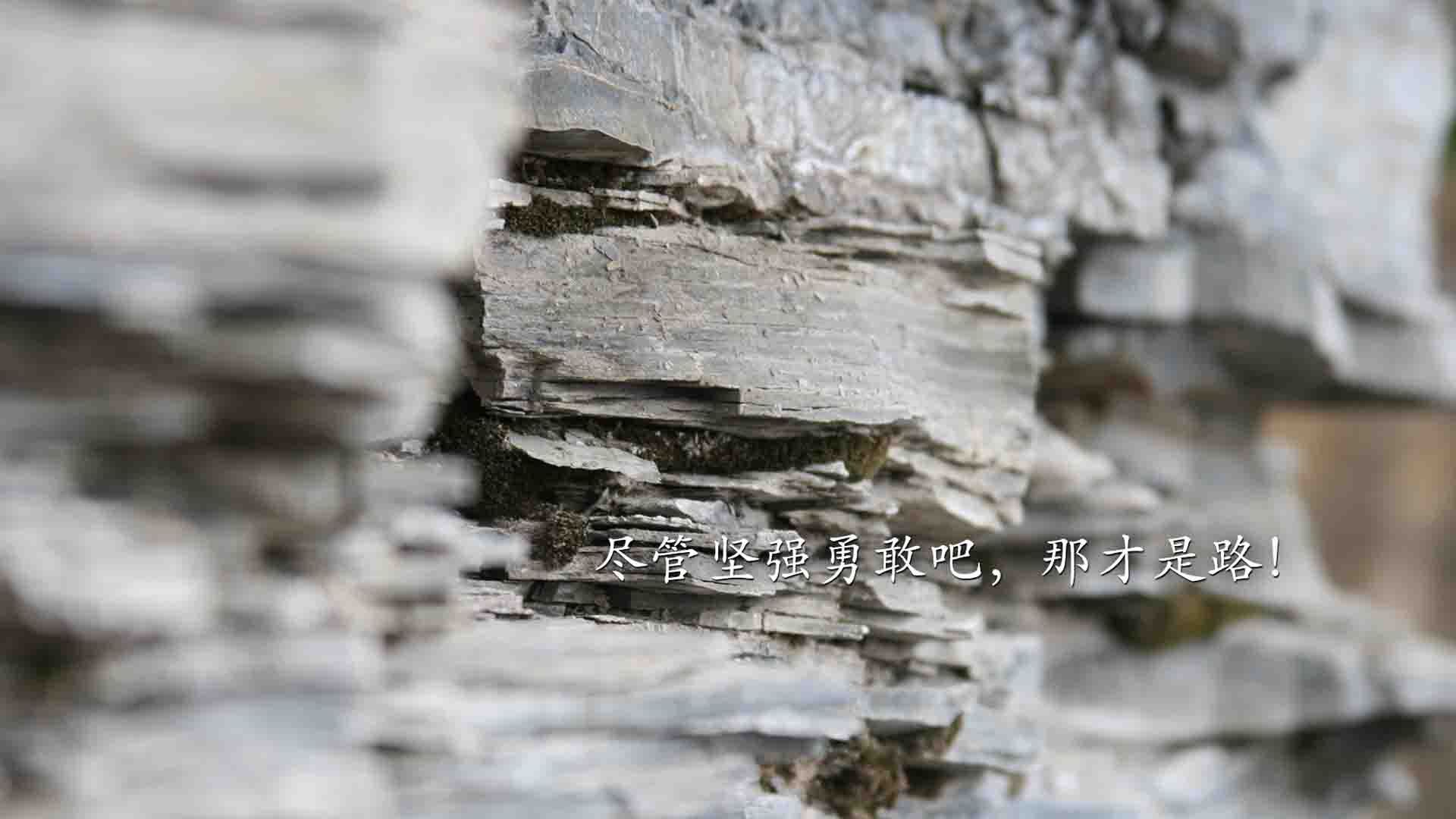 铁矿石最新信息行情（铁矿石价格走势最新消息）